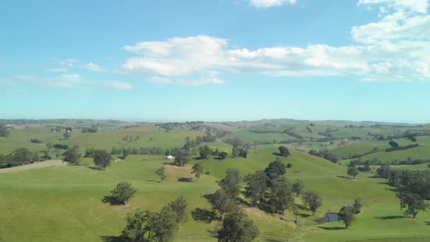 Aerial Shot Green Farmlands Hills Victoria Australia — Wideo stockowe