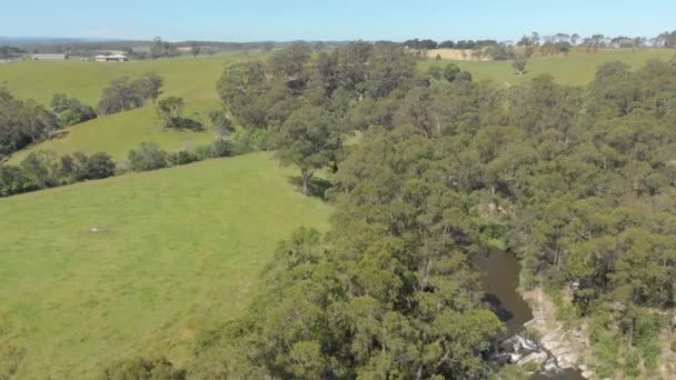 Aerial Shot River Flowing Green Lush Country Side Victoria Australia — Wideo stockowe
