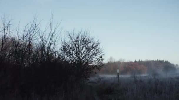 Early Morning Winter Landscape Trees Frost Covered Bushes — ストック動画