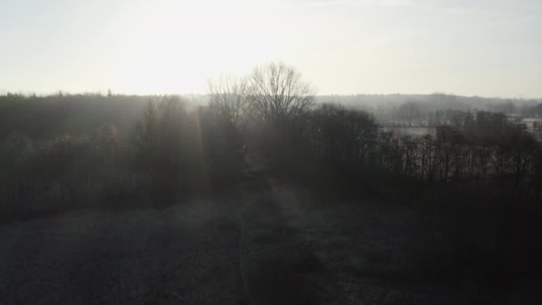Early Morning Winter Landscape Trees Frost Covered Fields Camera Rising — Vídeo de stock