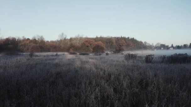 Early Morning Winter Landscape Tracking Shot Frost Covered Bushes Very — Stock video