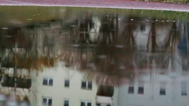 Autumn Puddle Reflection Grey Suburb Building Berlin Germany — Stockvideo