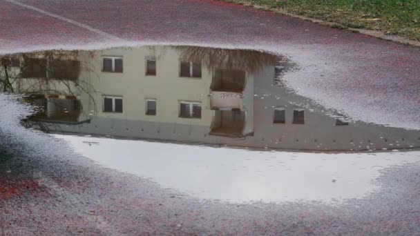 Puddle Reflection Grey Residential Suburb Area Berlin Germany — Stockvideo