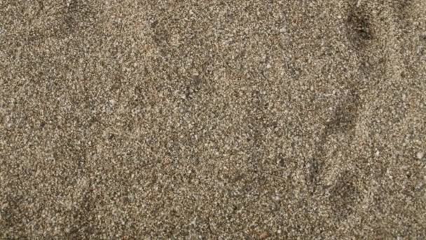 Close Wet Brown Sand Grains Beach Berlin Germany — Stockvideo