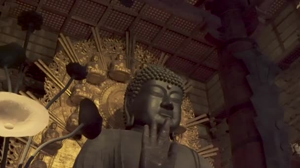 Buddha Nara Temple Japan Giant Statue Todaji Temple — 图库视频影像