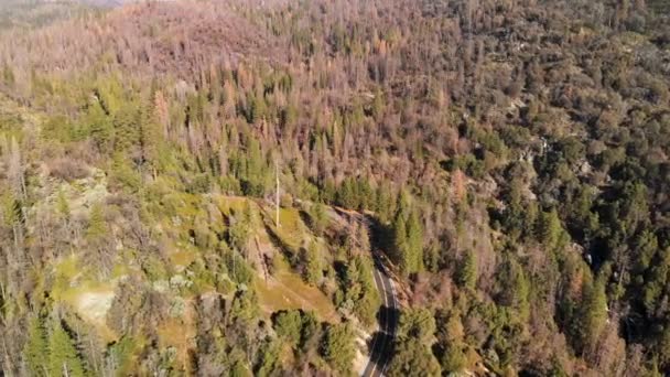 Beautiful Aerial Shot Highway Winding California Forest Mountains — Wideo stockowe
