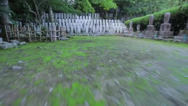 Arashiyama Cemetery Kyoto — Αρχείο Βίντεο