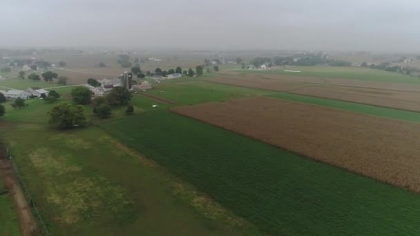 Drone Ariel View Amish Farm Lands Amish Farmer Harvesting Fog — Vídeos de Stock