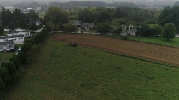 Drone Ariel View Amish Farm Lands Amish Farmer Harvesting Fog — Stok video