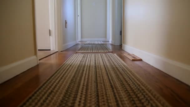 Camera Glides Home Hallway — Vídeo de stock