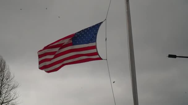 American Flag Waves Wind Slow Motion — Video