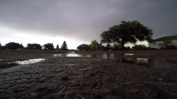 Dirty Puddles Muddy Gravel Road Rainy Day View Clouds Trees — Stockvideo