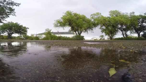 Rain Drops Puddle Muddy Gravel Road Small Town Canada Cloudy — Video Stock