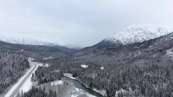 Aerial View Rotaiting Alaskan River Trees — Video