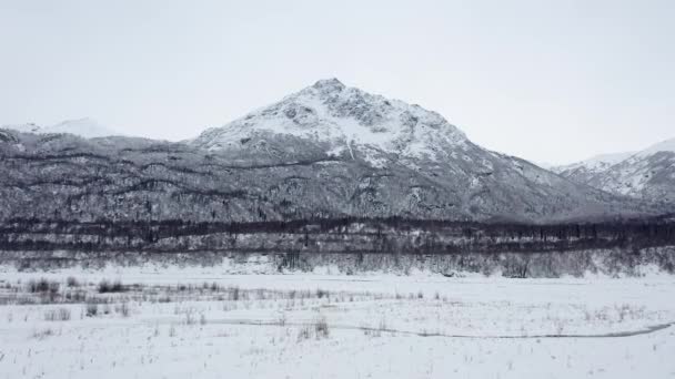 Aerial Shot Large Alaska Mountain — стокове відео