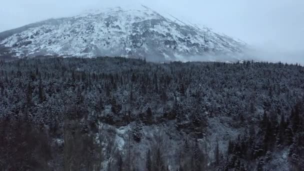 Drone Gains Altitude Show Alaska Mountain Treeline — Video Stock