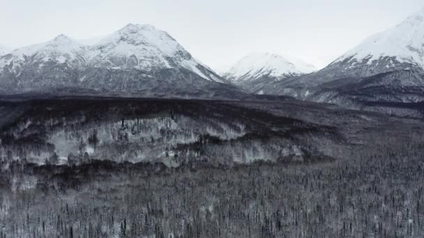 Aerial View Pulls Away Alaska Forest Mountains — 비디오