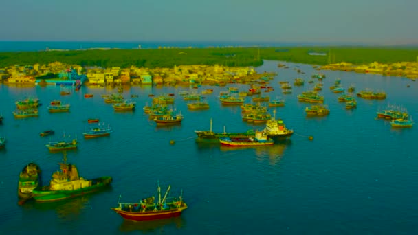 Massive Fishing Fleet — Stock Video