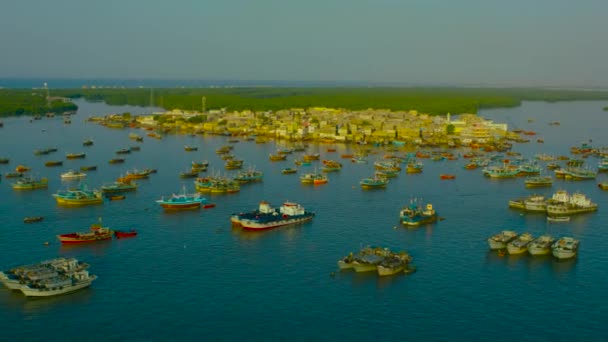 Busy Port Ships Fishermen — Wideo stockowe