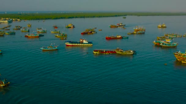 Ireland Aerial View Ships Boats Container — 비디오