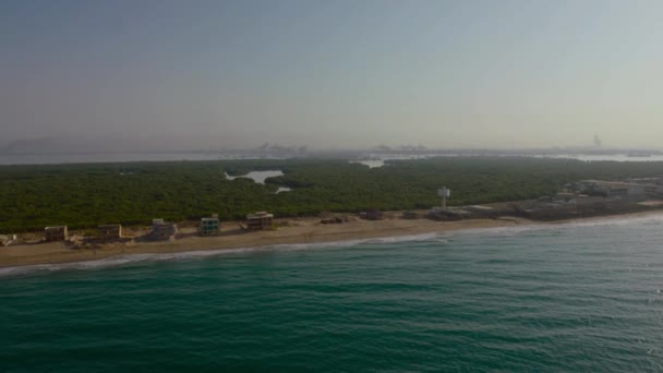 Beach Aerial View Mangroves Area — Stok video