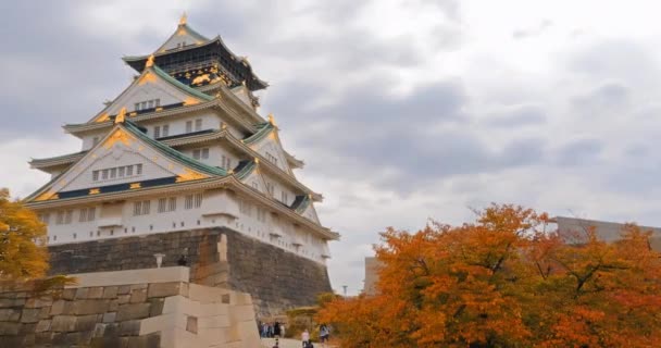 Hermoso Edificio Arquitectura Con Osaka Castillo Japón — Vídeos de Stock
