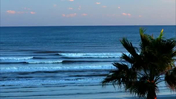 Les Palmiers Surf Océanique Roulent Sur Rivage Crépuscule — Video