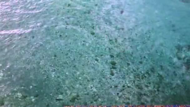 Crystal Clear Waters Shallows Warp Roll Even Though Water Nearly — Stock video