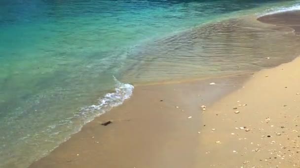 Woda Okrążająca Piaszczyste Wybrzeże Tej Spokojnej Plaży — Wideo stockowe