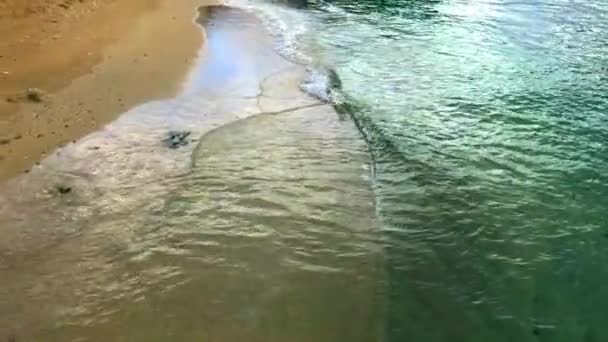 Waves Roll Sandy Shoreline Beautiful Beach Slow Motion — 图库视频影像