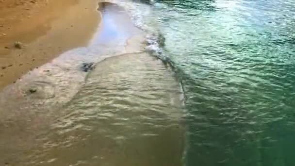 Waves Roll Beautiful Beach — Stock video