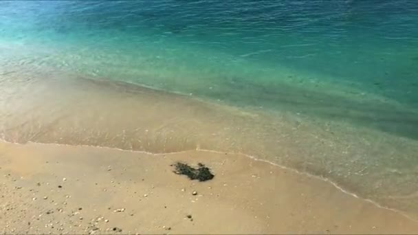 Aqua Blue Waves Lapping Sandy Beach Caribbean — Wideo stockowe