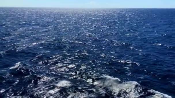 Caribbean Waters Roll Its Deep Blue Color Segment — Stockvideo