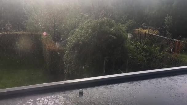Rain Pouring While Sun Creates Beautiful Sun Flare — Stok video