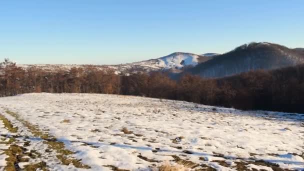 Front Moving Footage Forest Carpathians Romania Winter Season — Vídeo de stock