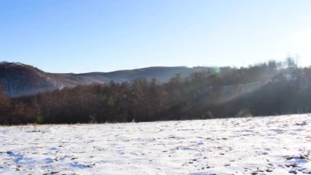 Right Left Pan Forest Hills Carpathians Winter Season — ストック動画