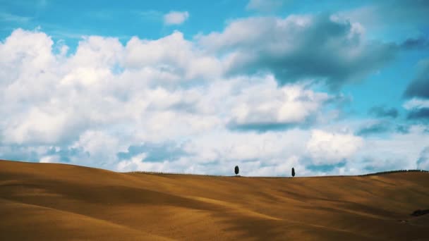 Timelapse Tuscany Two Cypress Trees Hill Fast Moving Clouds Lovely — 图库视频影像
