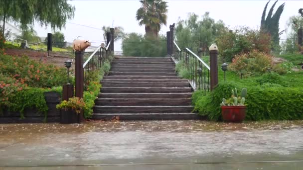 Video Backyard Flooding Rain California Fires — стоковое видео