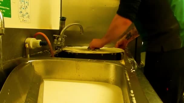 Male Cleaning Industrial Discs Stainless Steel Sink Unit — Video