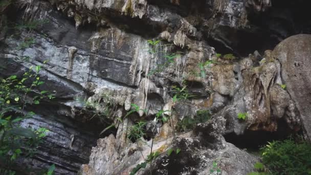 Small Limestone Cave Entrance Pan Shot — Stock video