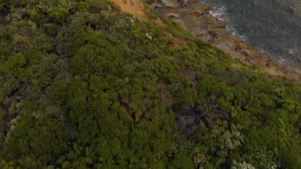 鳥の目は崖の上の低木の空中ショットを見るその後 ビクトリア海岸の海沿いの荒い岩 — ストック動画