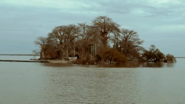 Boat View Motor Boat Going Historical Island Gambia Kunta Kinteh — ストック動画