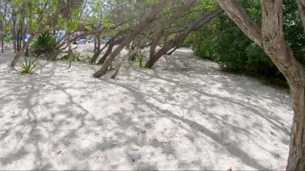Exploring Jungle Next Tropical Beach Footage Slow Motion — Vídeos de Stock