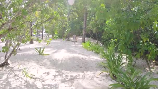 Walking Sandy Path Tropical Beach Footage Slow Motion — Stockvideo