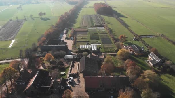 オランダの生物学的ダイナミックな農場の概要周囲の田園地帯の中でその納屋や作物の多様性を示す — ストック動画