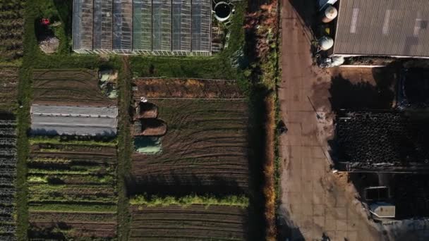 Top View Biological Dynamic Farm Netherlands Diversity Buildings Barns Crops — Stock video
