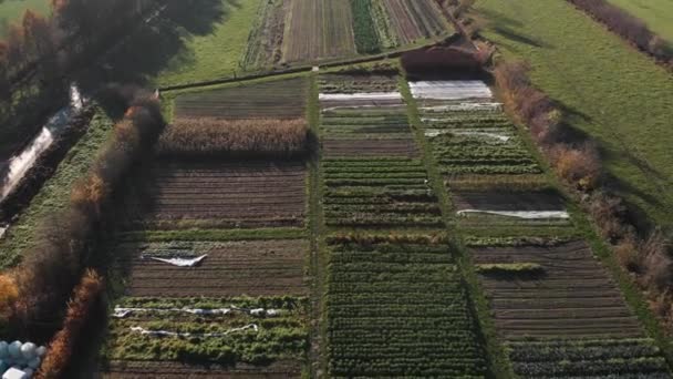 Вид Воздуха Биологическую Динамичную Ферму Нидерландах Демонстрирующую Разнообразие Коровников Сельскохозяйственных — стоковое видео
