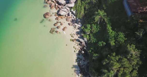 Top Aerial View Beautiful Beach Full Vegetation Drone Tropical Seascape — Stockvideo