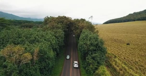 Isola Strada Drone Colpo — Video Stock