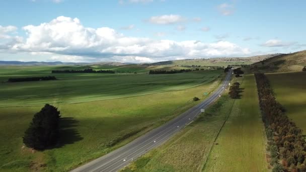 Drone Pan Auty Jedoucími Dálnici Lemované Stromy — Stock video